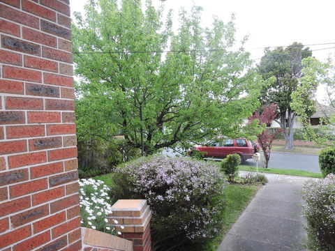 Monash And Chadstone WiFi - Sydney 4u 2