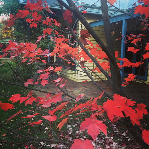 The Orchard House - Accommodation Sydney 27