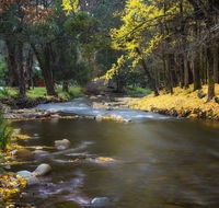 Goldfield Holiday Units - Sydney 4u