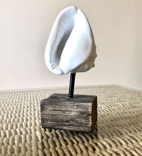 Sea Shells On Banyan Apartment - Sydney 4u 9