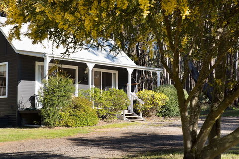 Bodhi Daylesford - Sydney 4u 14