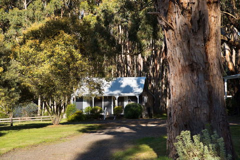 Bodhi Daylesford - Sydney 4u 8