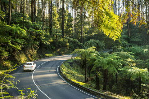 Lithgow Falls Marysville - Sydney 4u 15