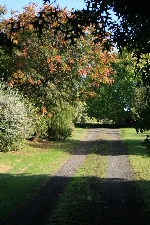 Strathmore Farm B&B - Sydney 4u 27