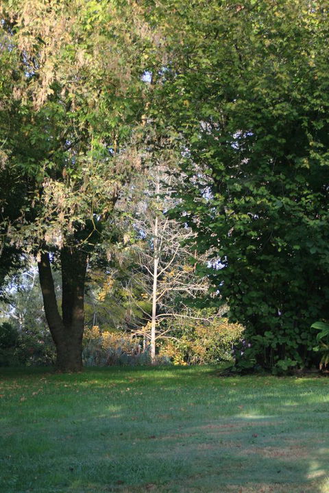 Strathmore Farm B&B - Sydney 4u 26