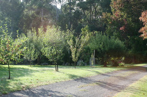 Strathmore Farm B&B - Sydney 4u 33