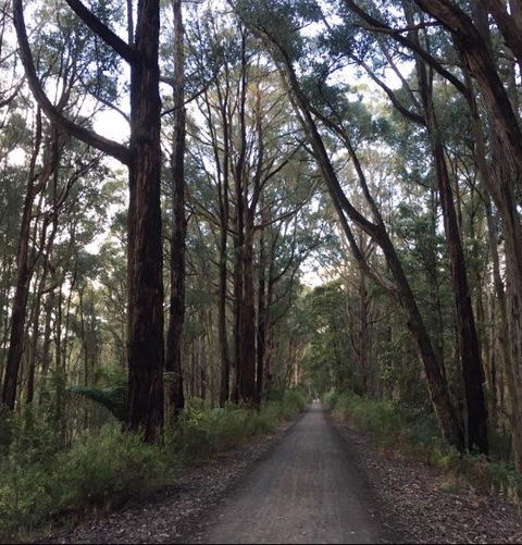 Strathmore Farm B&B - Sydney 4u 4