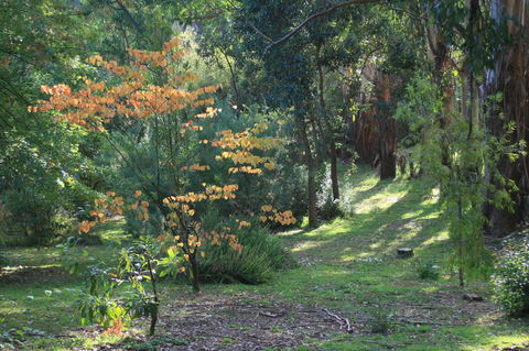 Strathmore Farm B&B - Sydney 4u 25