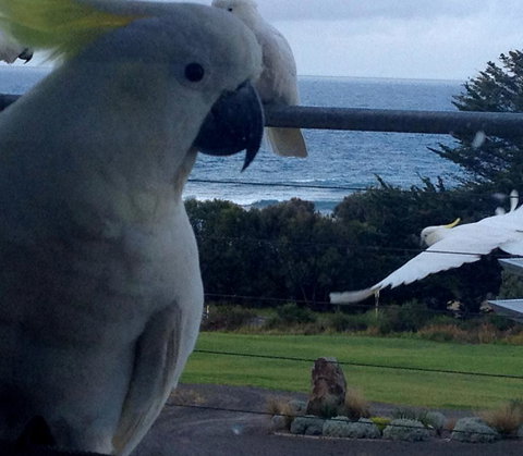 Apollos View Accommodation - Accommodation Sydney 21