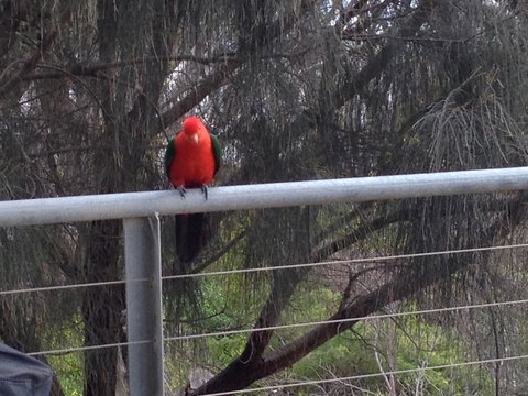 Apollos View Accommodation - Accommodation Sydney 23