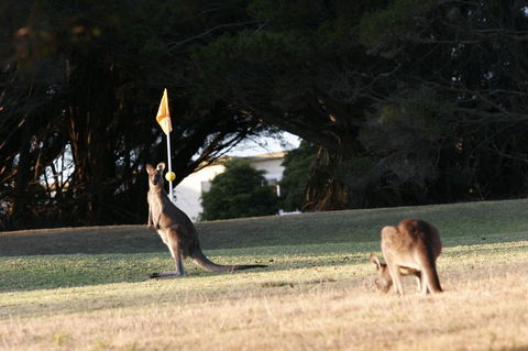 Lakeside At Mallacoota - Sydney 4u 37