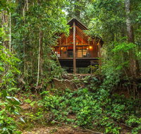 The Canopy Rainforest Treehouses  Wildlife Sanctuary - Accommodation Sydney