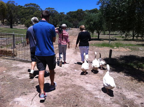 The Farm Willunga - Sydney 4u 1