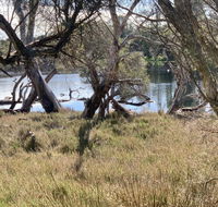 The Lake House - Sydney 4u