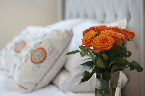 The Nest At Gundaroo - Sydney Resort 1