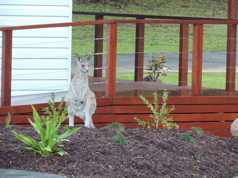 The Pouch B & B - Sydney 4u 1