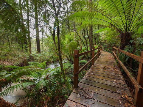 The Source, Otways - Sydney 4u 0