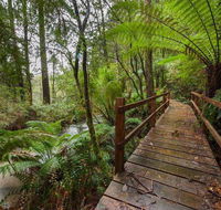 The Source Otways - Sydney 4u