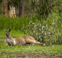 The Stirling Golf Club - Sydney 4u