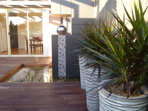 The Wet Lizard - Sydney 4u 0