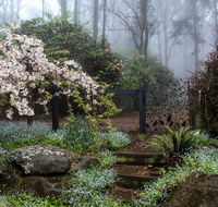 Tomah Retreat - Just RELAX - Sydney 4u