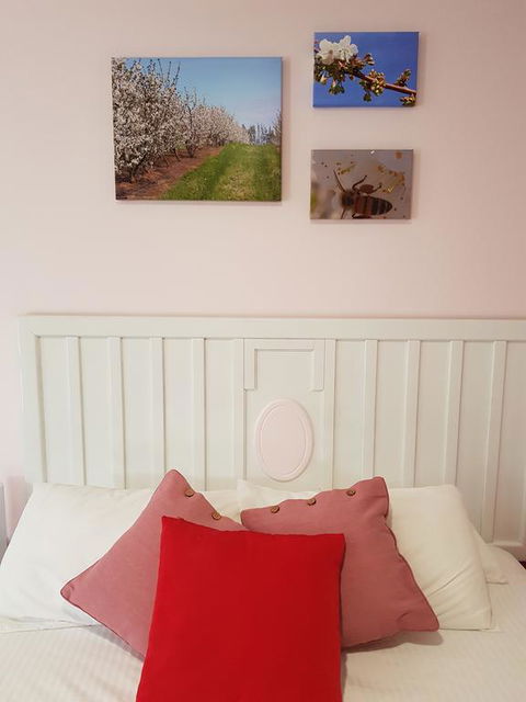 Town House Motor Inn Young - Sydney 4u 1