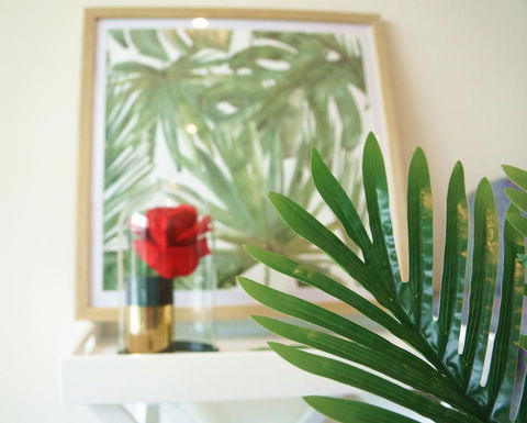 Tropical Delight 1 Bedroom Apt - Sydney 4u 0