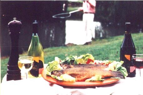 Tuki Retreat - Sydney Resort 3