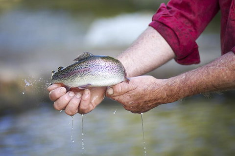 Tuki Retreat - Sydney Resort 2