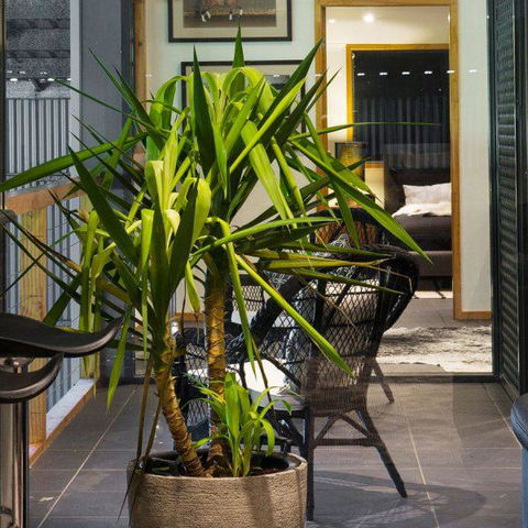 Val D'Argent Equestrian Centre - Sydney 4u 2