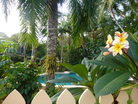 Villa Marine Holiday Apartments Cairns - Sydney 4u 1