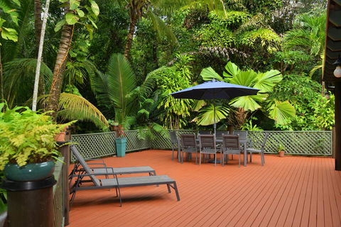 Wait A While Daintree - Sydney 4u 2