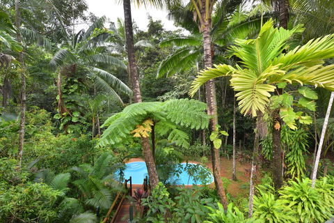 Wait A While Daintree - Sydney 4u 3