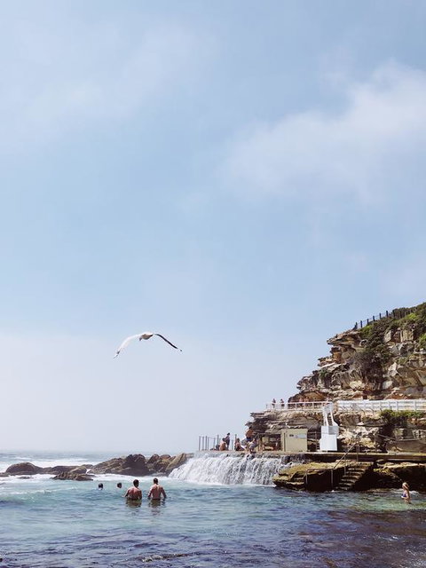 Walk To Beach From This Stylish Bronte Oasis W AC, Wifi And Free Parking - Sydney Resort 3