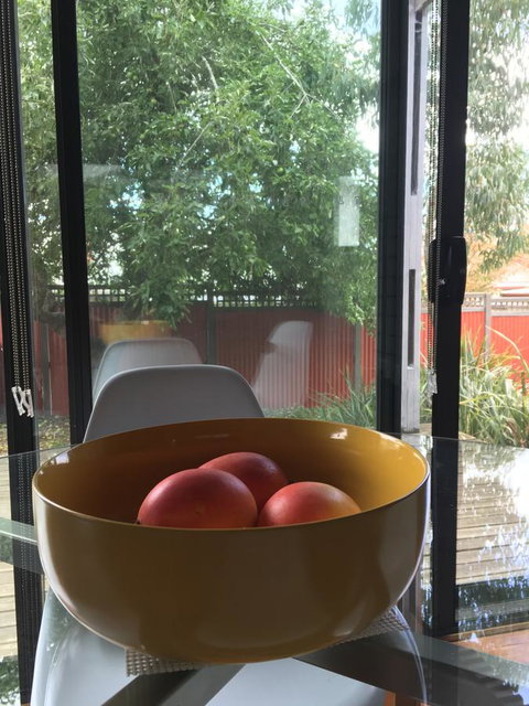 Daydream Cottage - Accommodation Sydney 19