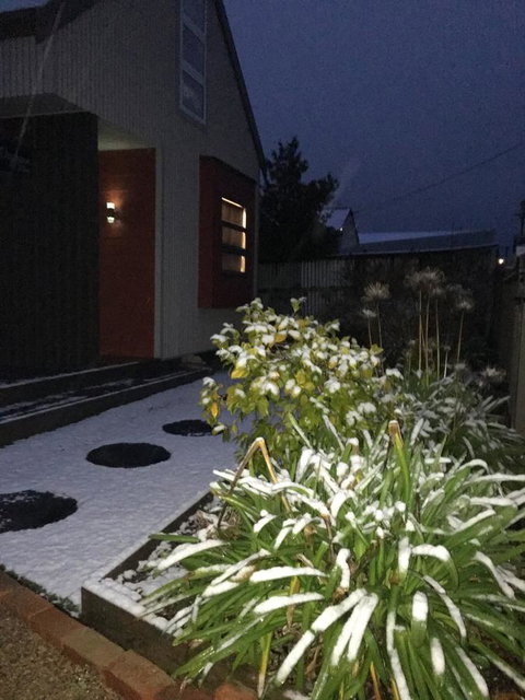 Daydream Cottage - Accommodation Sydney 17