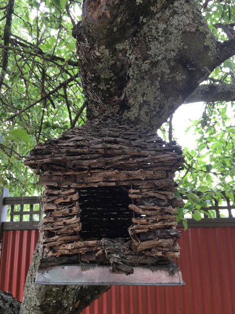 Daydream Cottage - Accommodation Sydney 18