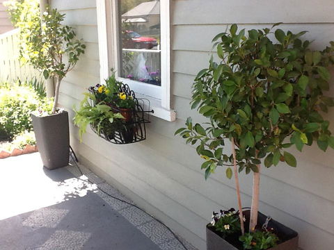 Redruth Cottage - Sydney 4u 19