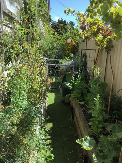 Redruth Cottage - Sydney 4u 7