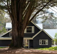 The Orchard - Sydney 4u