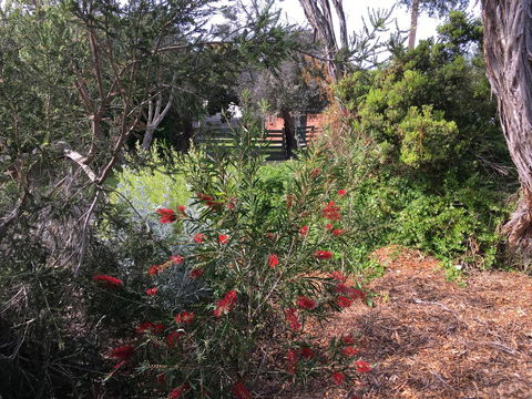 Andrew's On Topaz - Sydney 4u 1