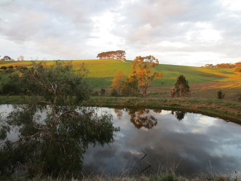 Walnut Cottage Via Leongatha - Sydney 4u 10