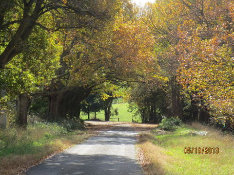 Walnut Cottage Via Leongatha - Sydney 4u 11