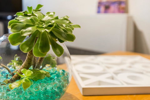 Melbourne Villa - Accommodation Sydney 15