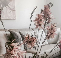 Bed of Roses - Accommodation Sydney