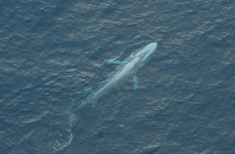 Cape Nelson Lighthouse - Accommodation Sydney 39