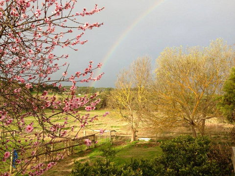 Australian Home Away @ Wonga Park Brushy Creek - Sydney Resort 19