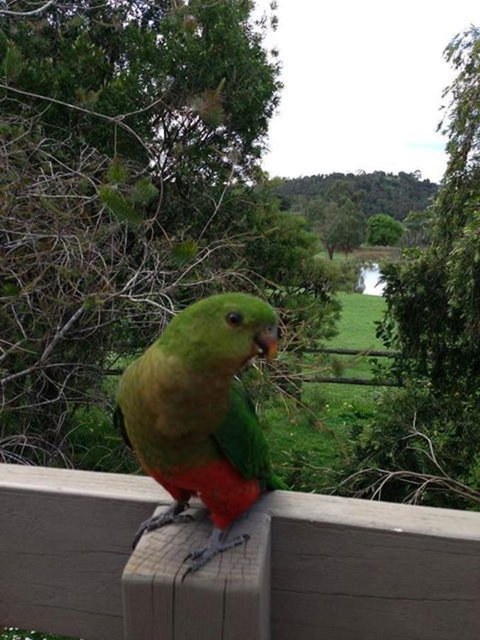 Australian Home Away @ Wonga Park Brushy Creek - Sydney Resort 18