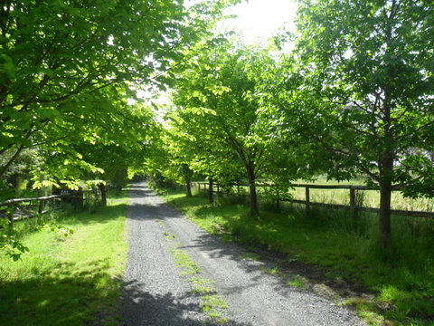 Australian Home Away @ Wonga Park Brushy Creek - Sydney Resort 0