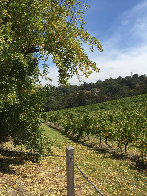 Australian Home Away @ Wonga Park Brushy Creek - Sydney Resort 1